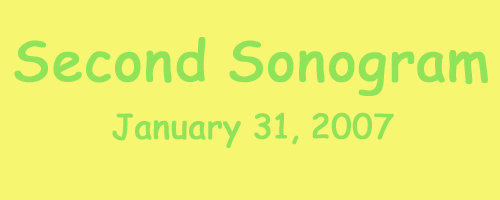 Second Sonogram, January 31, 2007